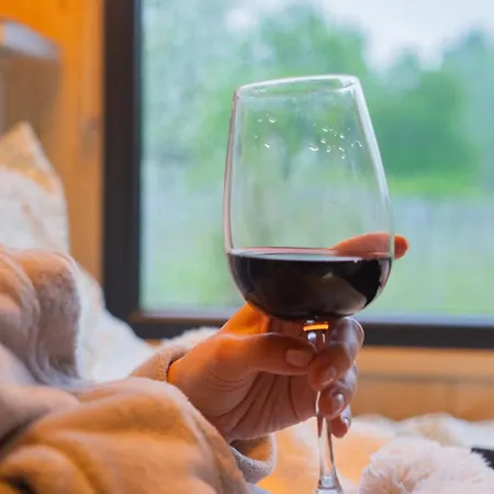 Le Clos Des Gojis - Route De Saint-emilion Holiday home Mouliets-et-Villemartin
