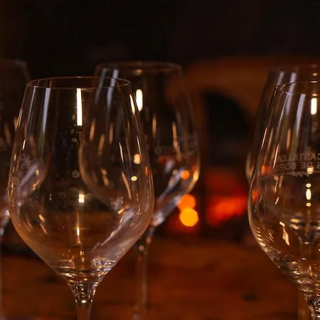Le Clos Des Gojis - Route De Saint-emilion Holiday home Mouliets-et-Villemartin