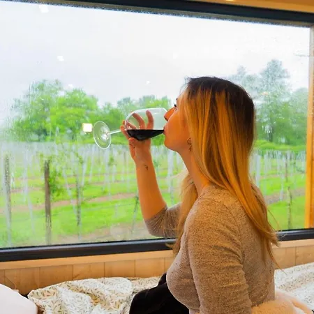 Holiday home Le Clos Des Gojis - Route De Saint-emilion Mouliets-et-Villemartin